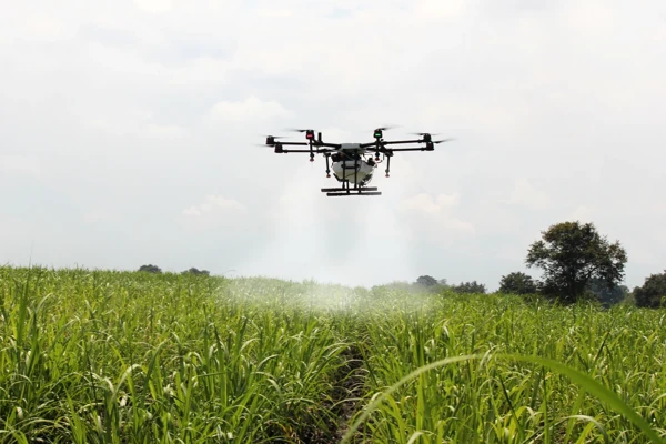 herney-spraying-sugar-cane-2746350 Pulvérisation de produits biologiques par drone