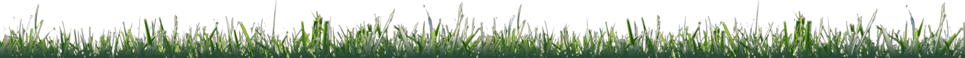 Sol-Herbe Herbe