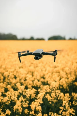 Surveillance-Agricole-Drone Drone d'observation sur un champ de fleur jaune