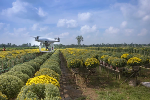 Surveillance-Drone-Agricole Vol d'un drone d'observation sur un champ